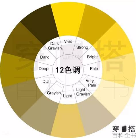 黃色系顏色|設計配色完整攻略 